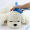 Best Selling  Dog Bath Massage Brush Bathing Tool Washer Sprayer Pet Cat Shower Grooming Glove for Pet Dog Cat Horse