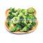 High Quality IQF Frozen Broccoli Vegetable