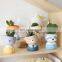 Hot Selling Plant Sale Planter Small Flower Stand Mini Succulent Ceramic Pot