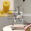Stainless Steel Pineapple Peeler and Corer