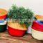 Best Seller Handwoven Seagrass Belly Basket, Colored Wicker Woven Baskets Wholesale Planter Vietnam Supplier