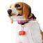 customized super bright plastic tags id tag dog pendant light