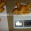 2015 best quality of the ginger with good price