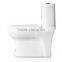 Chinese traditional low price wc siphonic toliet