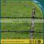 Guangzhou Barbed Wire Font/ Electro Galvanized Barbed Wire/ Plastic Barbed Wire