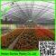 high quality 100% new material coir weed mat,pp woven weed control mat