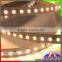 Outdoor Waterproof Epistar Cuttable 12 24 volt LED Rope SMD 2835 LED Flexible Ribbon Strip Light