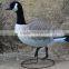 high quality America and Canada foam goose decoy