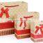 2015 New Design High Quality Paper Bag with Your Own Logo