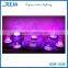 Popular Wholesale Festival Items Wedding Gifts Led Vase Light Base with remote controlled