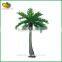 Guangzhou fiberglass artificial coconut tree for outdoor decorative