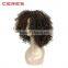 OEM factory cheap price 2016 new popular style 100% Japanese fiber afro kinky curly synthetic wig, jerry curl synthetic hair wig