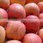 2015 Chinese Fresh sweet fuji apple with good quality