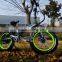 Students mini folding electric bicycle with Samsung cell lithium battery
