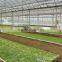 low cost greenhouse commercial greenhouse agricultural greenhouse