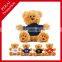 OEM designs high quality SGS tested Plush toys