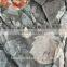 Floral Printed Patterned Viscose Fabric Rayon Fabric for Women t Shirt