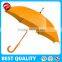 Straight stick auto open umbrella with wood handle