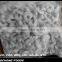 Frozen vannamei white Shrim