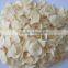 Dehyrated Products Garlic Flakes