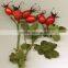 2016 new crop 100% wild non-polluted dried rosehip shells