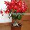 desert rose