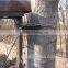 Deer hunting tree stand