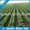 PE Material High Quality Plastic Irrigation Pipe for sale