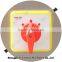 Thailand Hot Sale Blister Machine