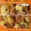 Wheat Flour Based 3D pellet/fryums process line