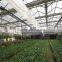 AL Frame Agricultural PE Greenhouse for Sale