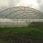 Professional greenhouse project