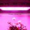 High quality greenhouse cheap 600w led grow lights for sale