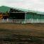 125x21x2.5m light steel structure chicken house in middle east