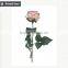  Rose Flower Artifical Customized