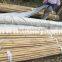 different sizes tonkin bamboo stakes/poles/canes for agriculture