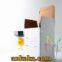 Magic Sun Solar Powered Night Light / Decoration