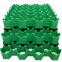 Plastic Grass Grid Grass Paver for Parking
