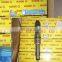Common rail injector 0445120002