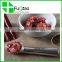 Factory Wholesale Eco-friendly Food Grade Metal Aluminum small Ice Cream Scoop