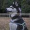 Hot selling eco-friendly soft adjustable anti- lost custom design cotton  quick harness dog accessories harness