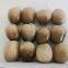Canned Straw Mushrooms