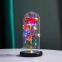 Wholesale Valentines Day Mothers Day Gold Foil Rose in Glass Dome with LED Light Eternal Galaxy Rose Gift Set