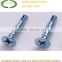 Zinc plating Self drilling Screw, roofing screw, China screw manufacturer