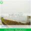 8 m Width Agricultural Tunnel Greenhouse