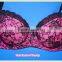 2015 New Desgined Underwear Set, Plus Size Bra Set