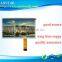 8 Inch 1024*600P Panel With RGB Interface Tft Lcm