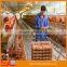 Layer Poultry Farm Design, Poultry Battery Cage for Nigerian Farm