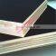 12MM Film Faced Plywood/Form Work Plywood