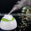 2016 humidifier Creative gifts Mini USB Water Spray Bottle Humidifier with LED Light lamp Moisture